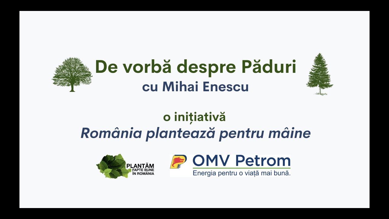 De vorbă despre Păduri: Pepinierele silvice