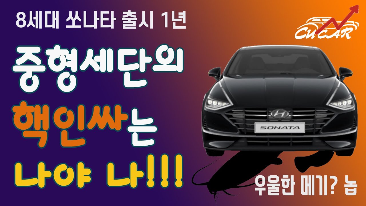 [그래프로 보는 자동차] 쏘나타 8세대 출시 1년 - 신차는? 그리고 중고차는? 아무리 놀려도 국민중형차는 쏘나타