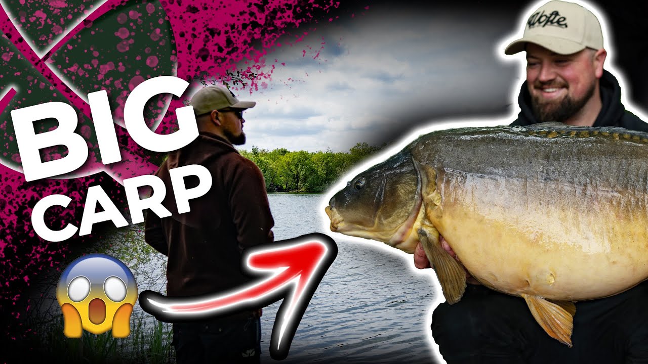 CATCH BIG CARP CONSISTENTLY! 🤔 🐋
