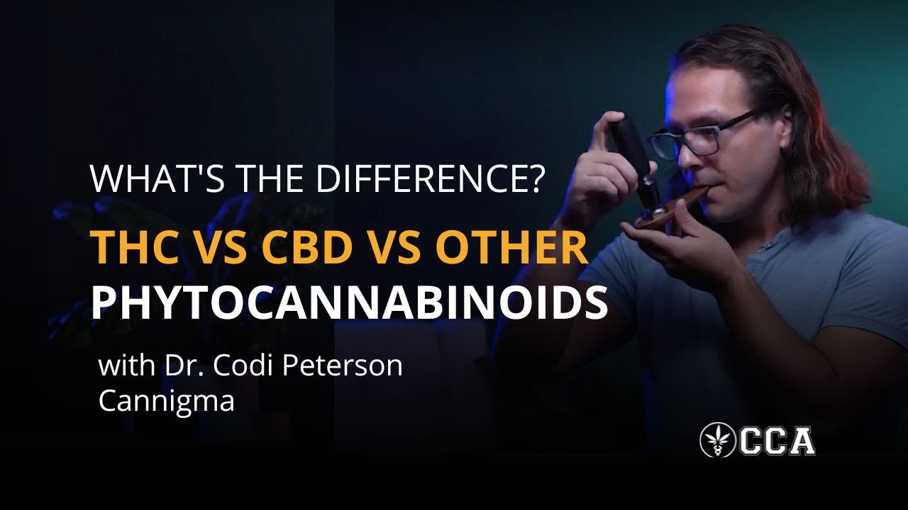 What's the Difference between THC, CBD, and other Phytocannabinoids?