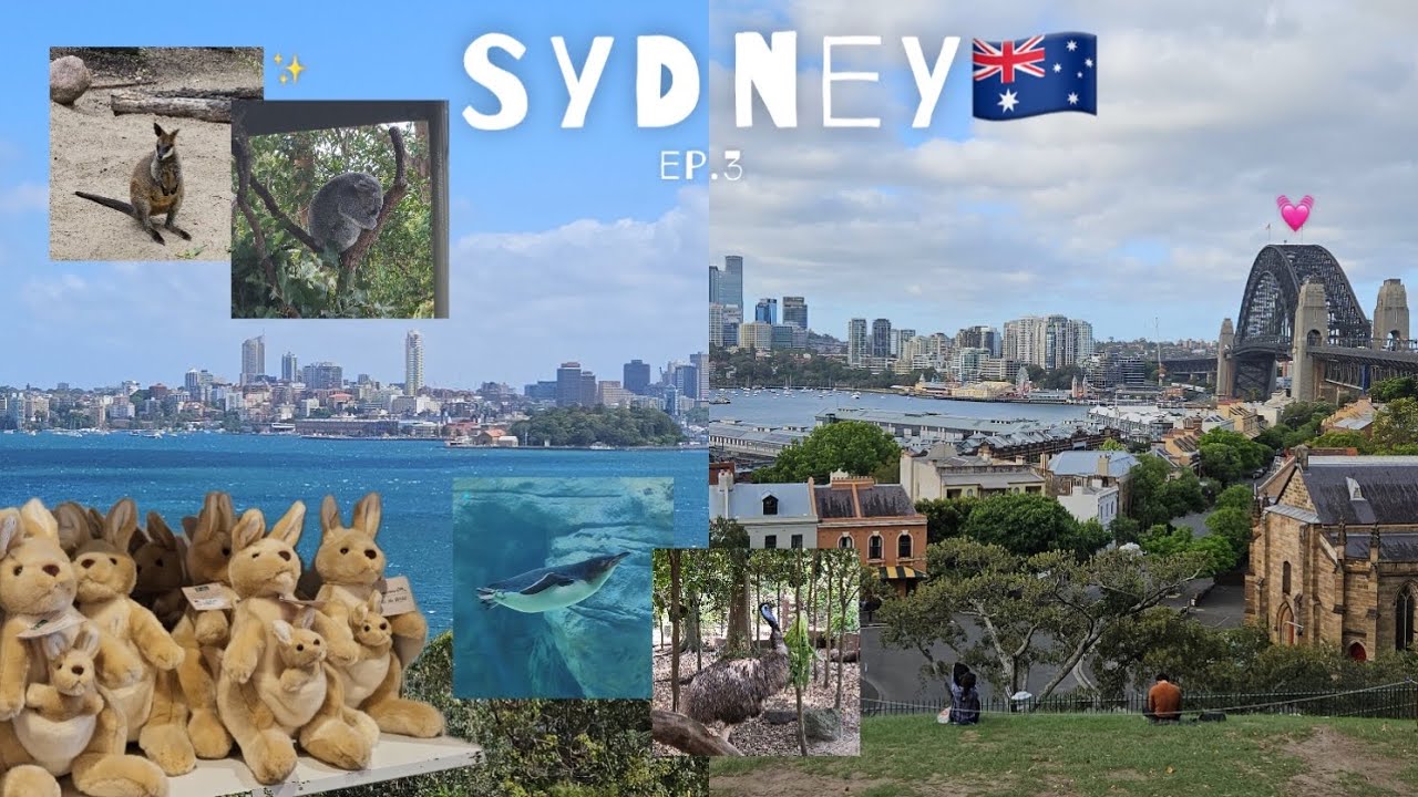 vlog | 캥거루🦘 코알라🐨 펭귄🐧 보고 싶은 사람 시드니 동물원으로 모이세요🇦🇺 타롱가 주, 천문대 뷰 포인트, 중동식 레스토랑 Ezra🍷💜 ep.3