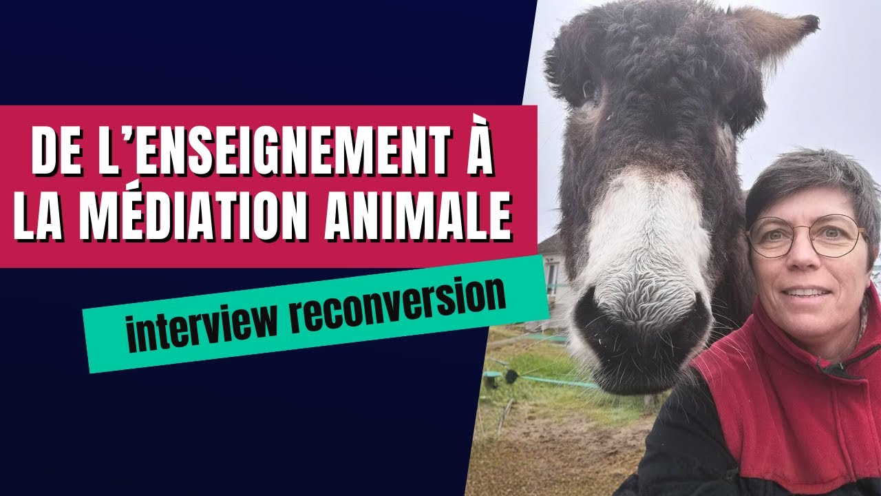 Médiation animale : comment Agnès a quitté son job pour travailler avec les animaux