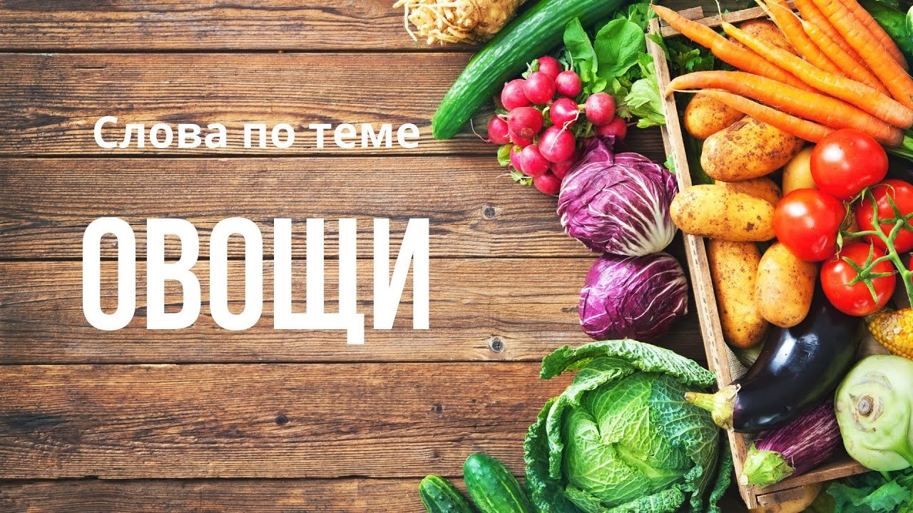 СЛОВА ПО ТЕМЕ