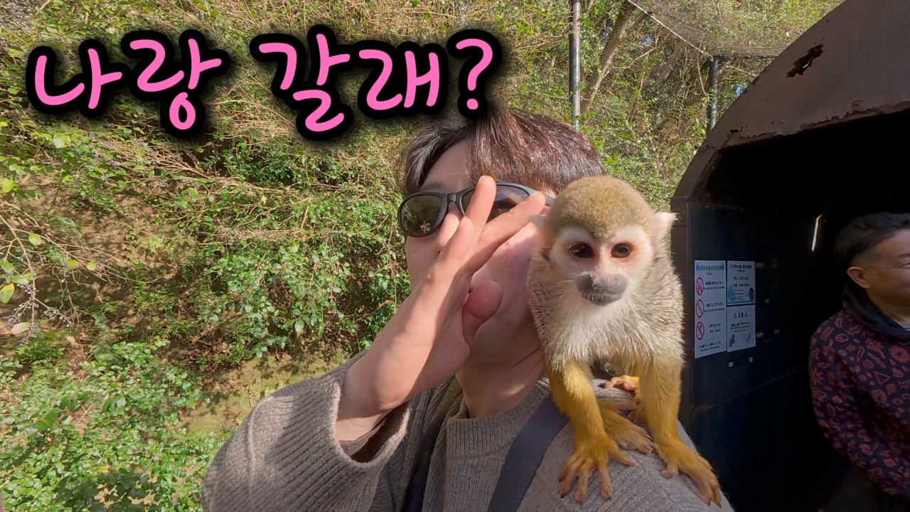애완 원숭이를 진지하게 고민했던 어느 일본 시골 동물원 - [일본 3]
