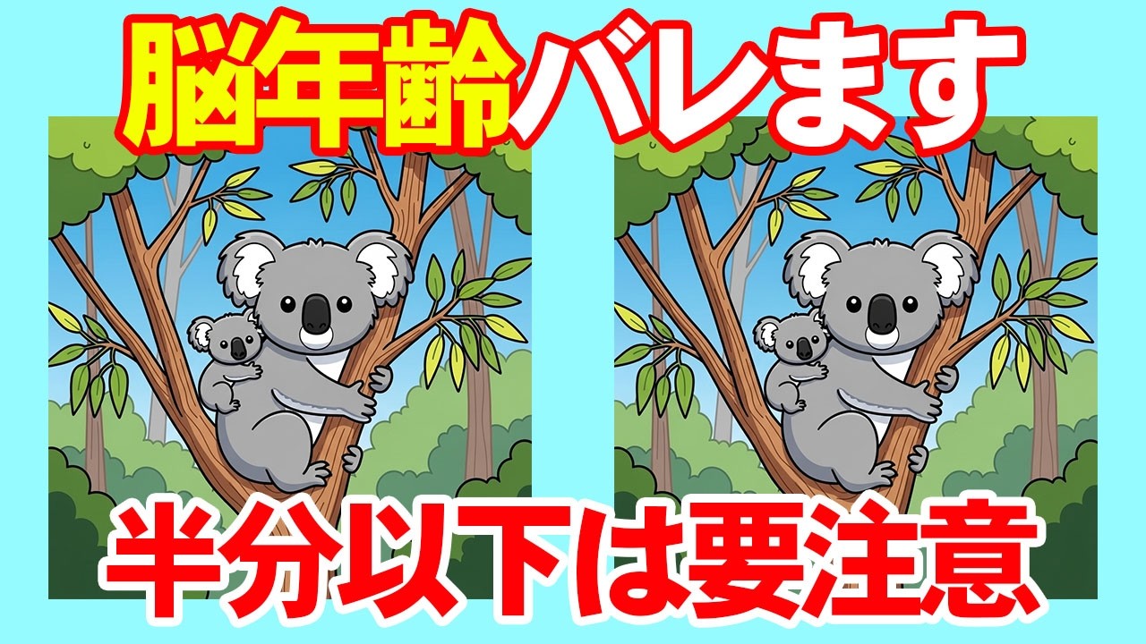【間違い探し×脳トレ】１つも見つけられないあなたは60代？！認知症予防と集中力アップトレーニングの10分間。 023