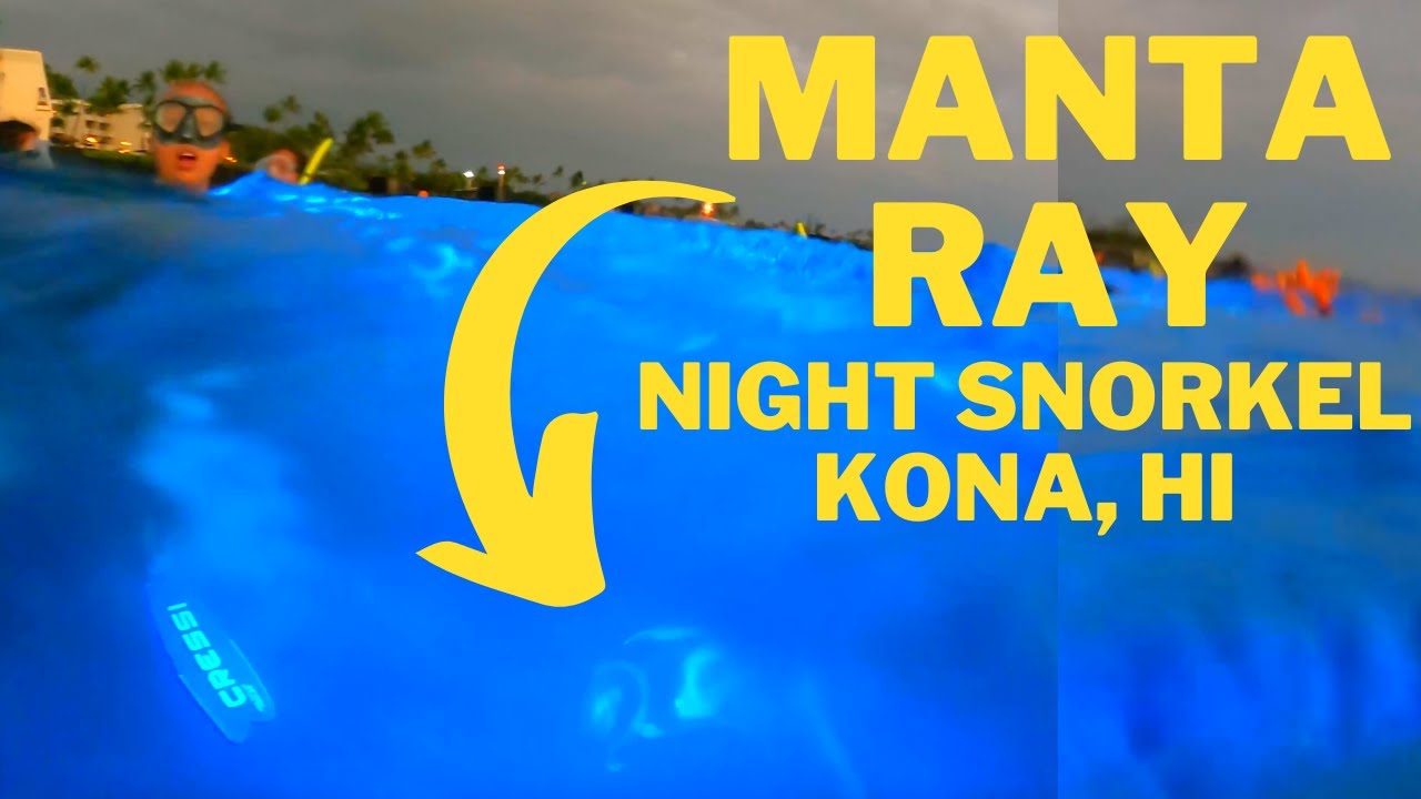 The BEST Thing To Do On Big Island, Hawaii | Manta Ray Snorkel