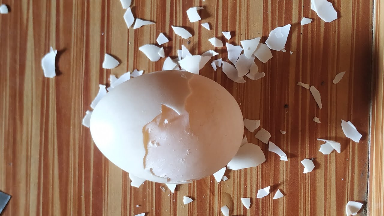 EGG PEELING LIVE