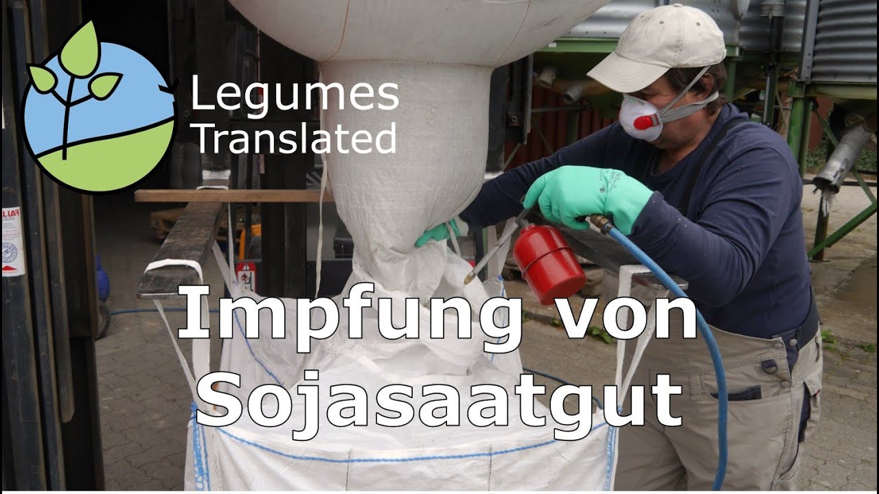 Инокуляция семян сои