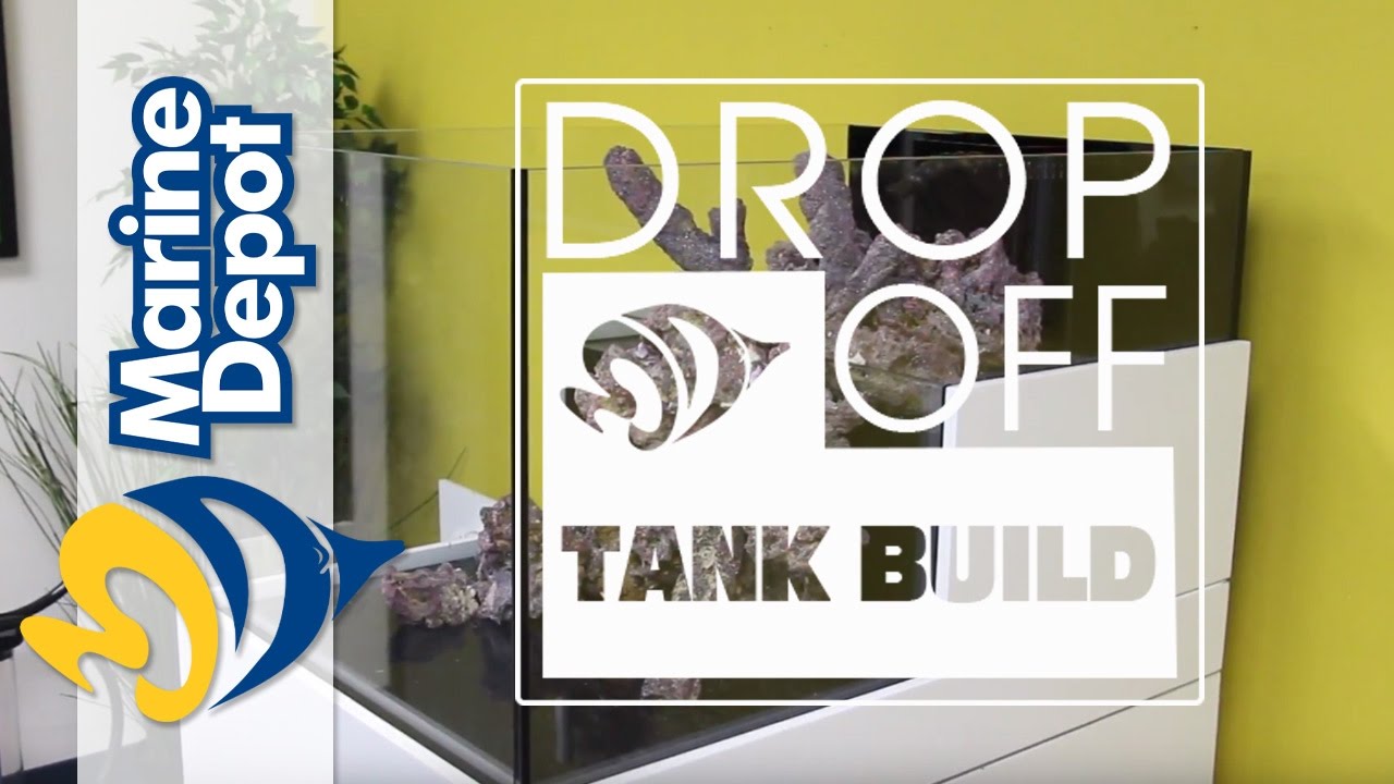 Drop-Off Tank Build #3: Aquascaping + Which Heater Should We Use?