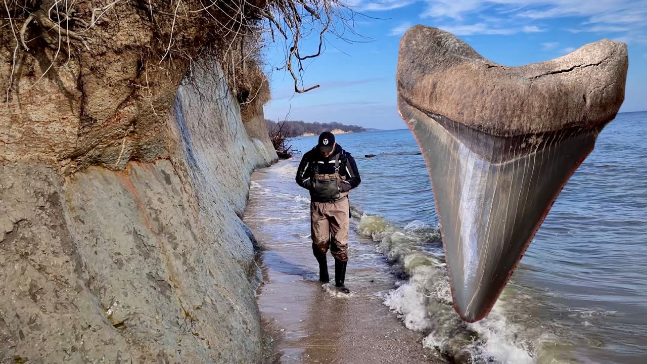 Finding a MEGALODON SHARK TOOTH! | Fossil Hunting
