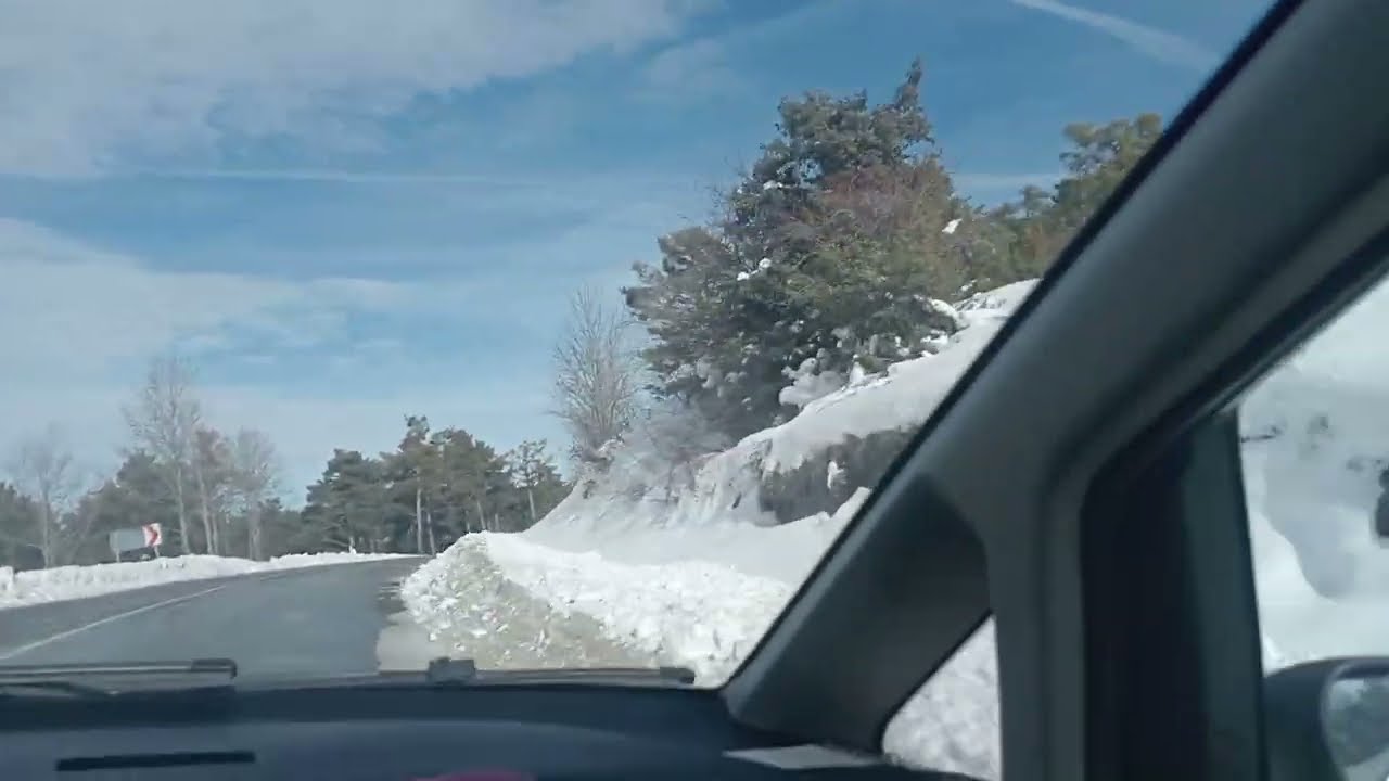 Karlı ve orman manzarası eşliğinde gezinti 