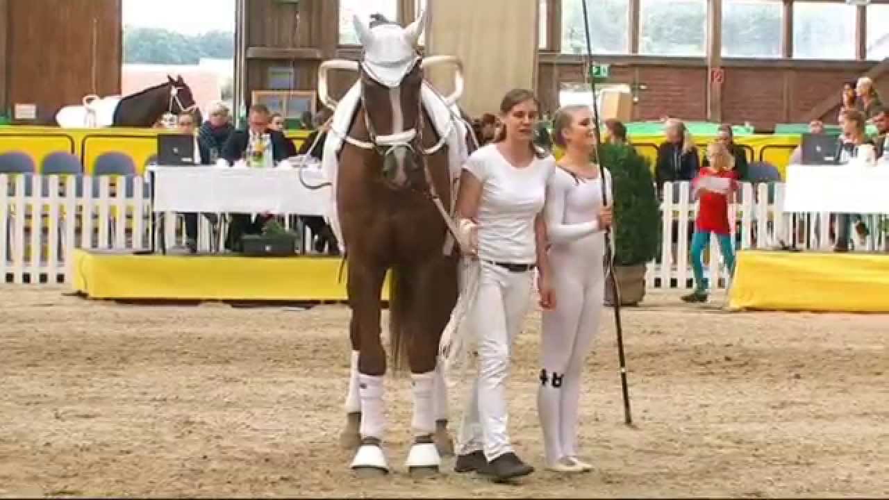 DJM Krumke 2015 Damen 51 Marla Sophie Koch