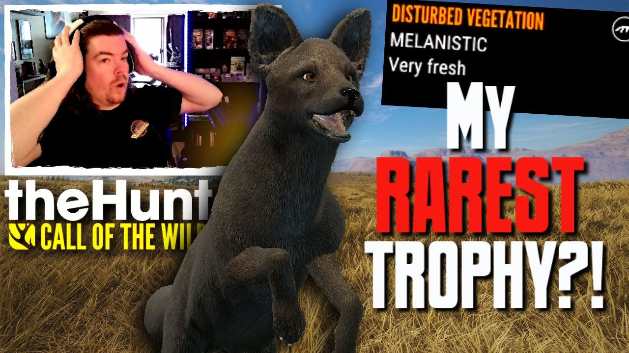 I CAN'T BELIEVE IT! I Found a MELANISTIC Side Striped Jackal?! | Call of the Wild