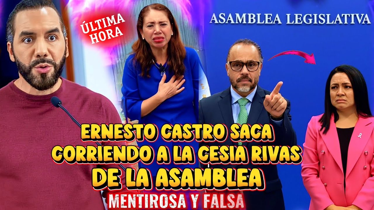 BOMBAZO NAYIB BUKELE SORPRENDIDO ERNESTO CASTRO LE PÊLÂ LA CARA A SECIA RIVAS PRO MENTIRØSÁ 😱