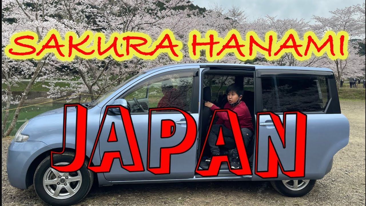 Sakura Hanami