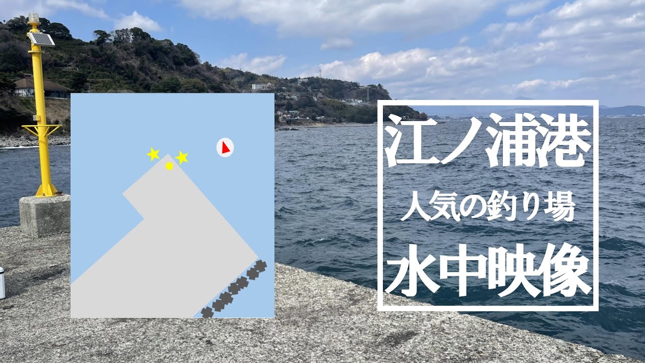 【水中映像】江ノ浦漁港 ★のヶ所にカメラを沈めて観察してみた