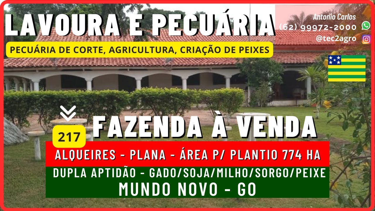 [🌱DUPLA APTIDÃO🐄] Fazenda a Venda em Goias 217 Al MUNDO NOVO  GO [🌱SOJA MILHO GADO] #vendadefazenda