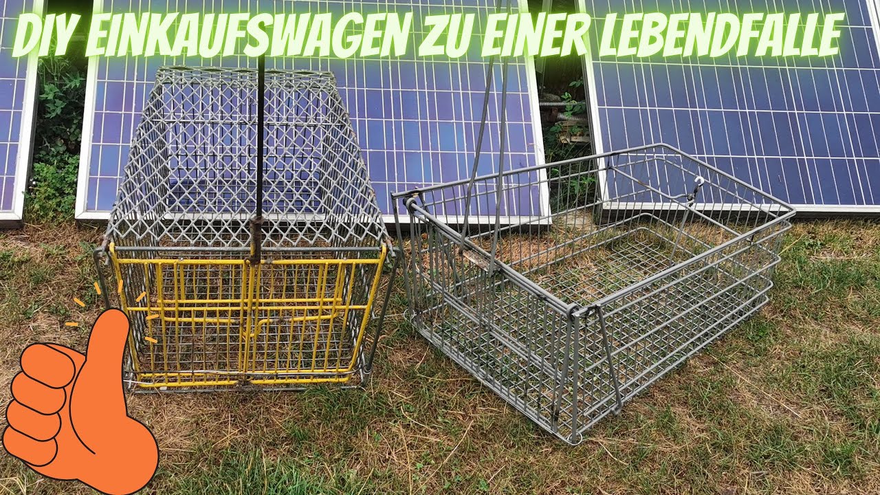 Einfach und  #günstig Einkaufswagen #Umbau  #Falle #Lebendfalle #DIY für #Waschbär Fuchs #Marder