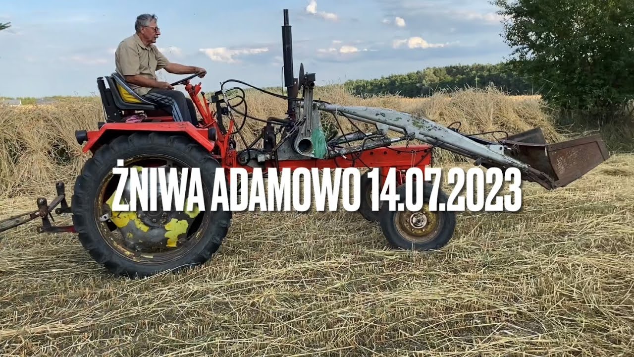 Żniwa Adamowo 2023 woj. Wielkopolskie