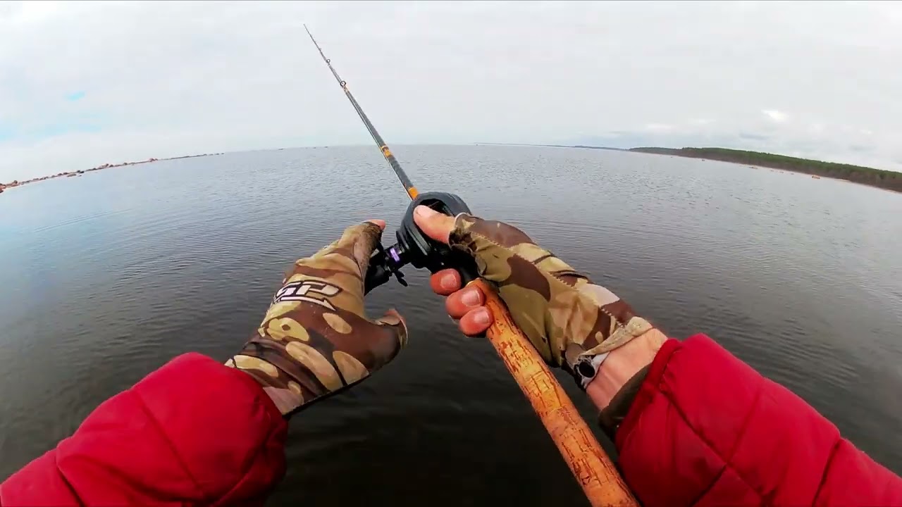 Kingdom Micro monster Baltic Sea Обзор на воде спустя время