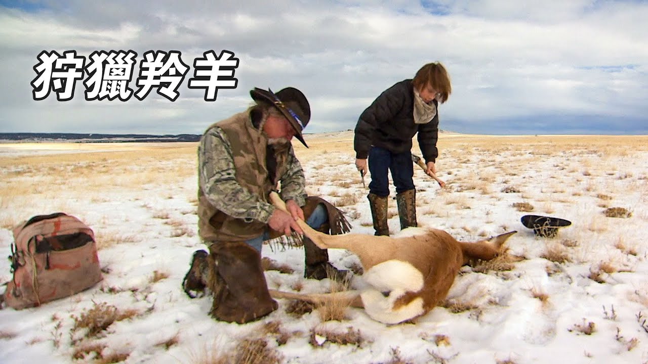 北美荒野山地硬漢：狩獵螺鹿擒拿響尾蛇，誘捕郊狼和山貓，建造蓄水池開設牧場！紀錄片