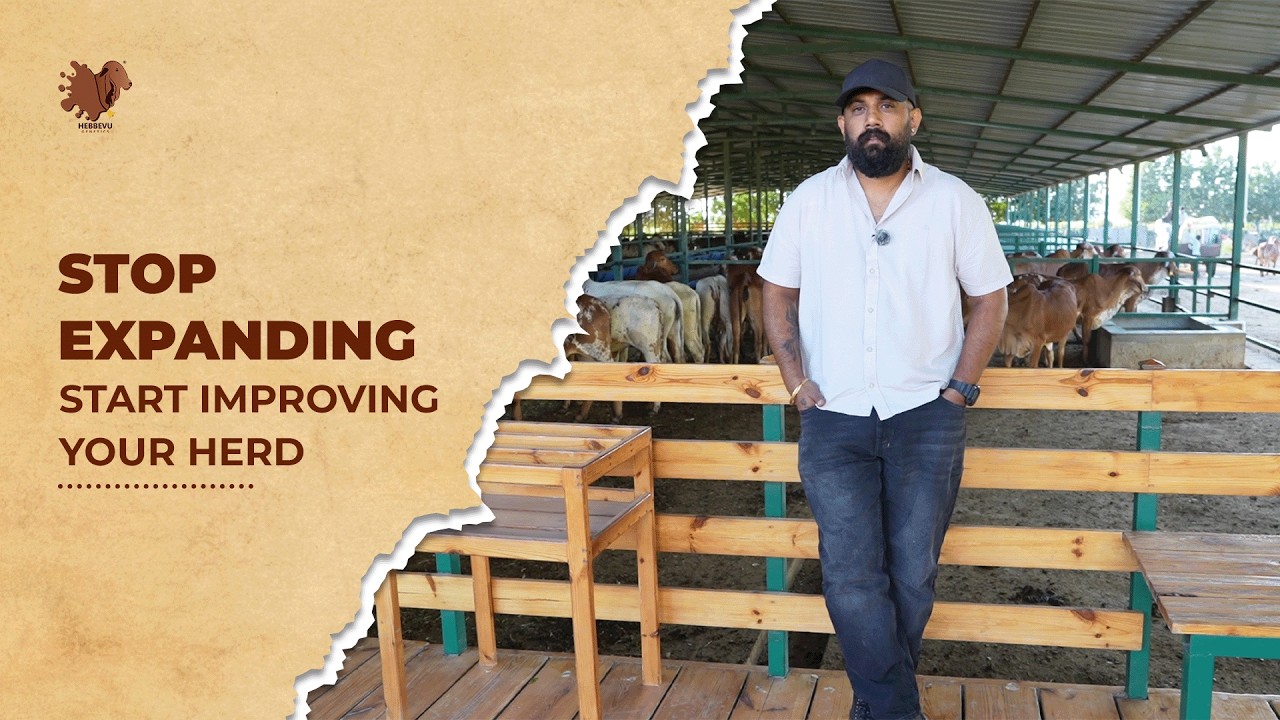 Stop Increasing Cows. Start Improving Genetics.