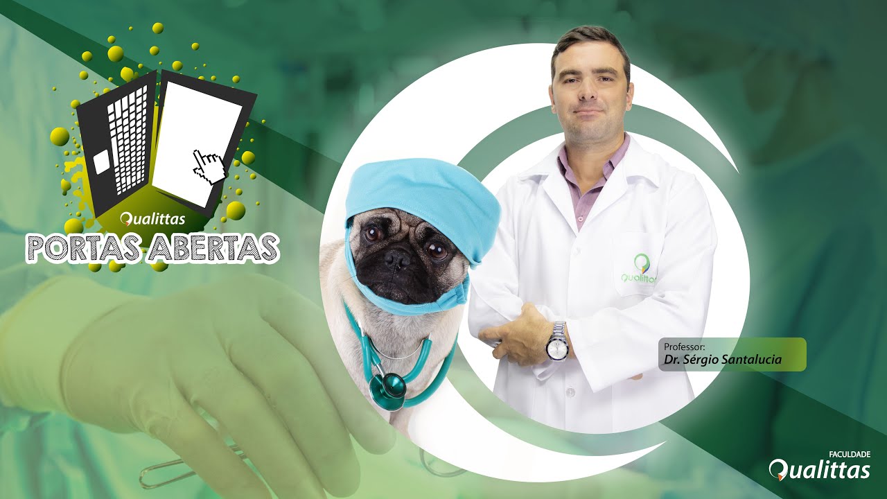 Dicas para seguir no segmento de Clínica Cirúrgica em Pequenos Animais.