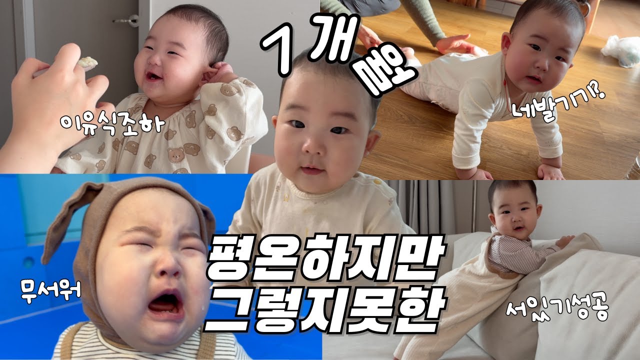 🍼육아브이로그⎮평온하지만 그렇지 못한 7개월 아기일상⎮드디어 네발기기?⎮장난감도서관 방문⎮공포의 이앓이🦷