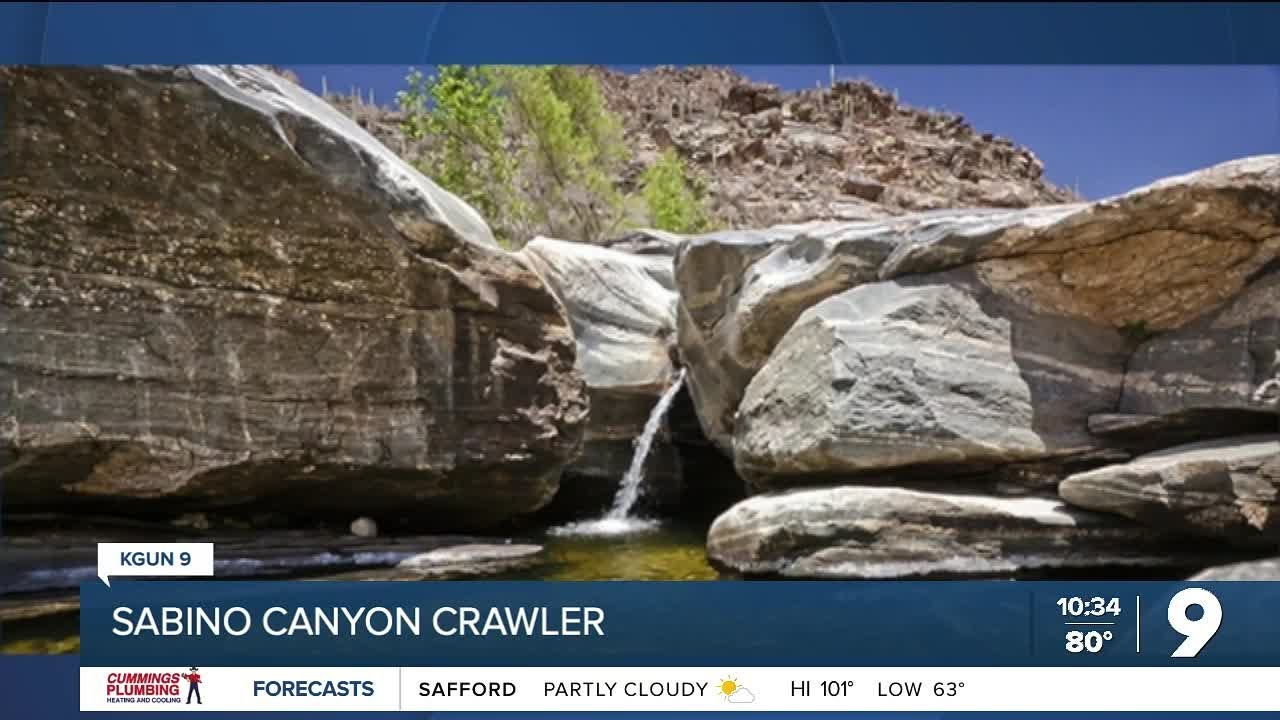 Take a night tour on the Sabino Canyon Crawler