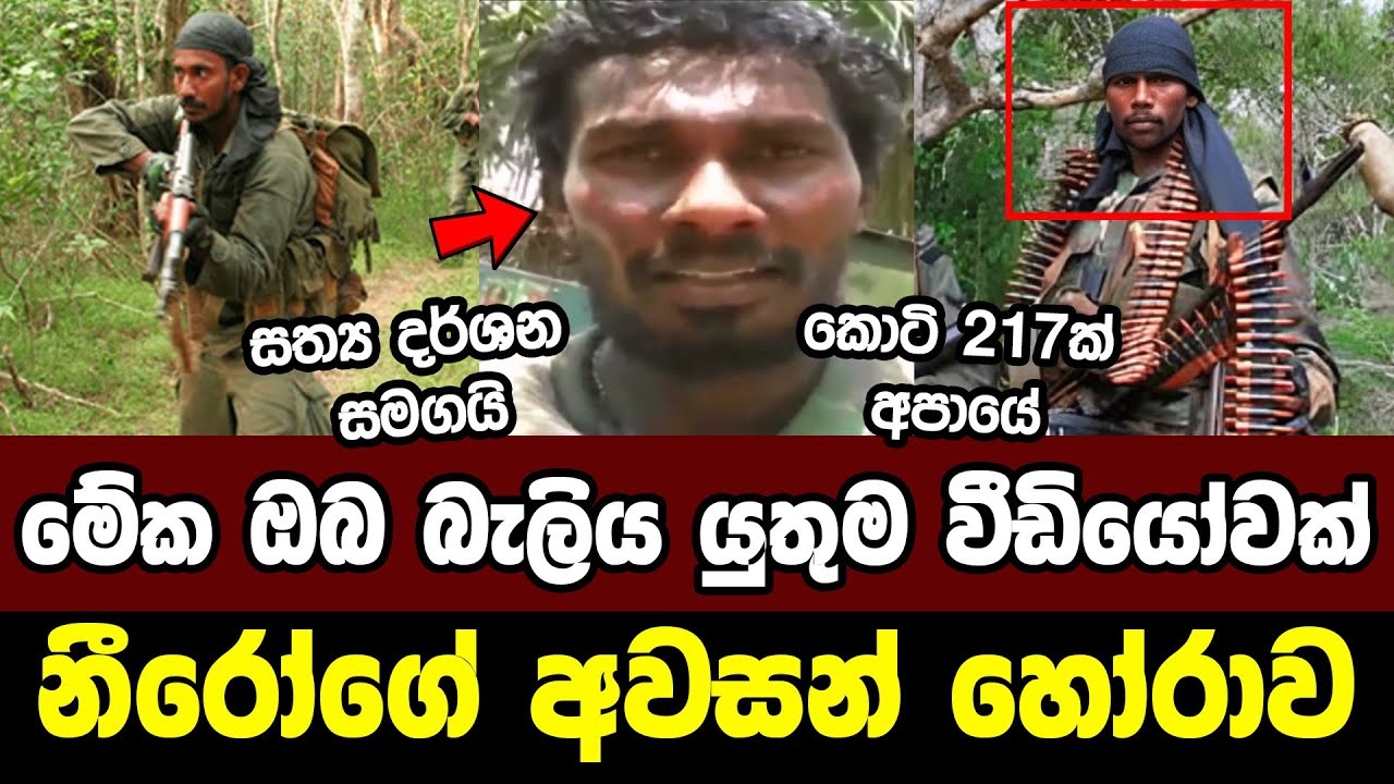 කොටි 217ක් කම්මුතු කල නීරෝගේ අවසන් හෝරාව | Ranjith Premasiri Madalana | Sniper Nero | Sri Lanka Army