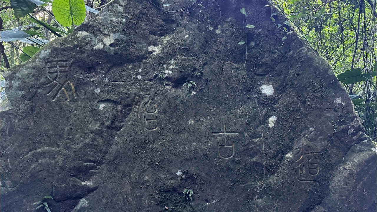 說走就走～馬胎古道初體驗