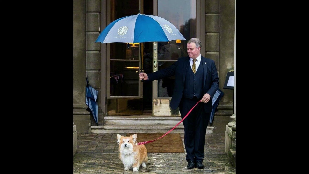 𝐏𝐥𝐚𝐲𝐥𝐢𝐬𝐭 요즘 제일 감미로운 팝만 담았어요 🎧🎼당신 마음을 사로잡을 완벽한 멜로디 ☁️🎶