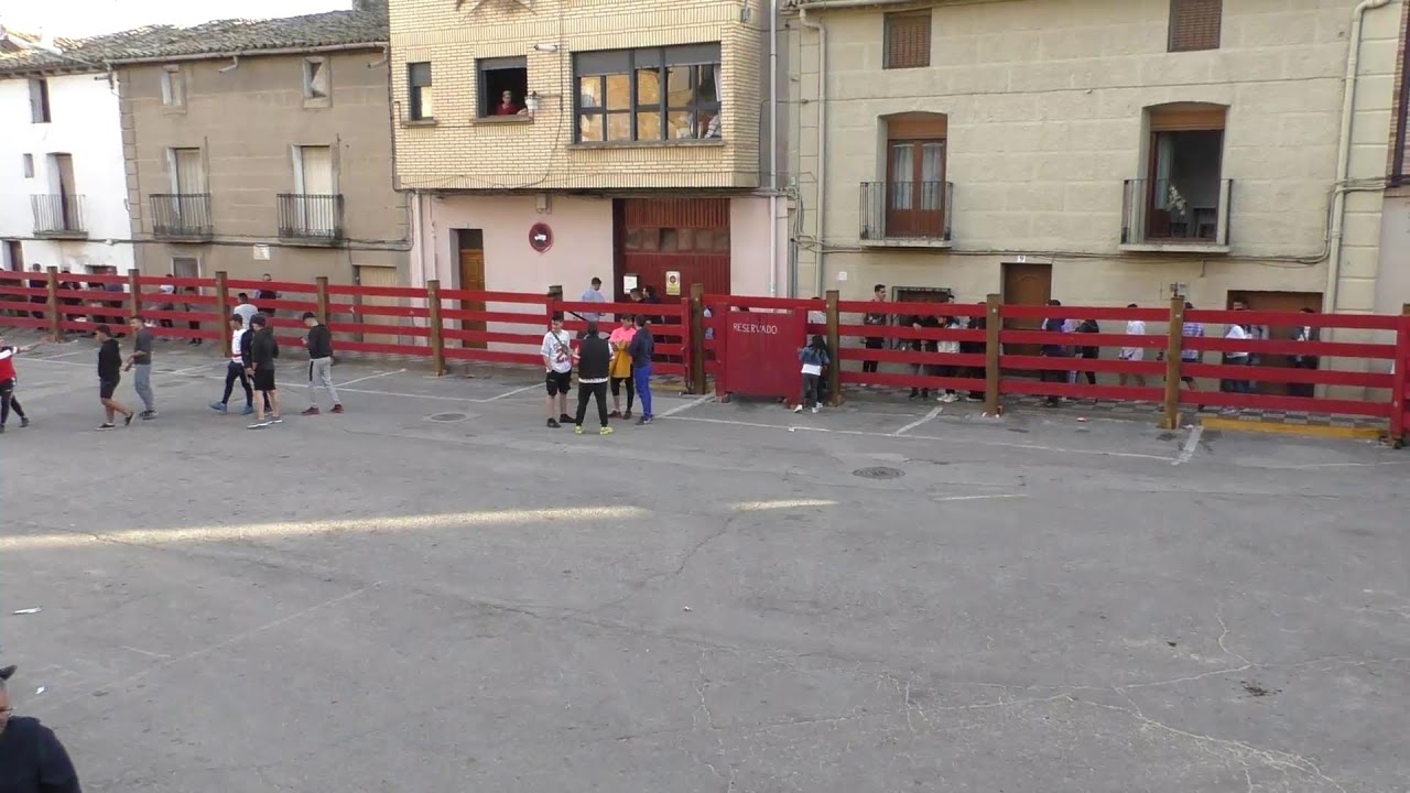 Villafranca, Fiestas Juventud 2023, Encierro Tarde 01/05/2023
