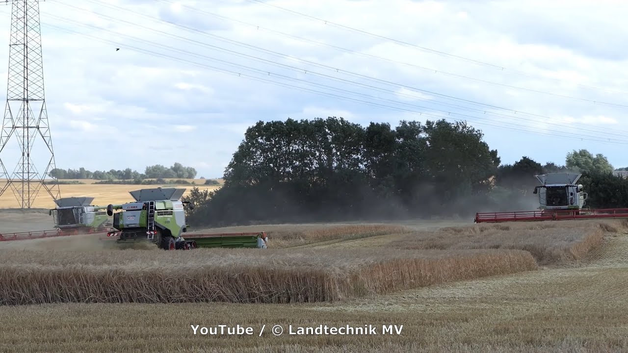 3X Claas Lexion 780TT-++ / Getreideernte - Grain Harvest   2019