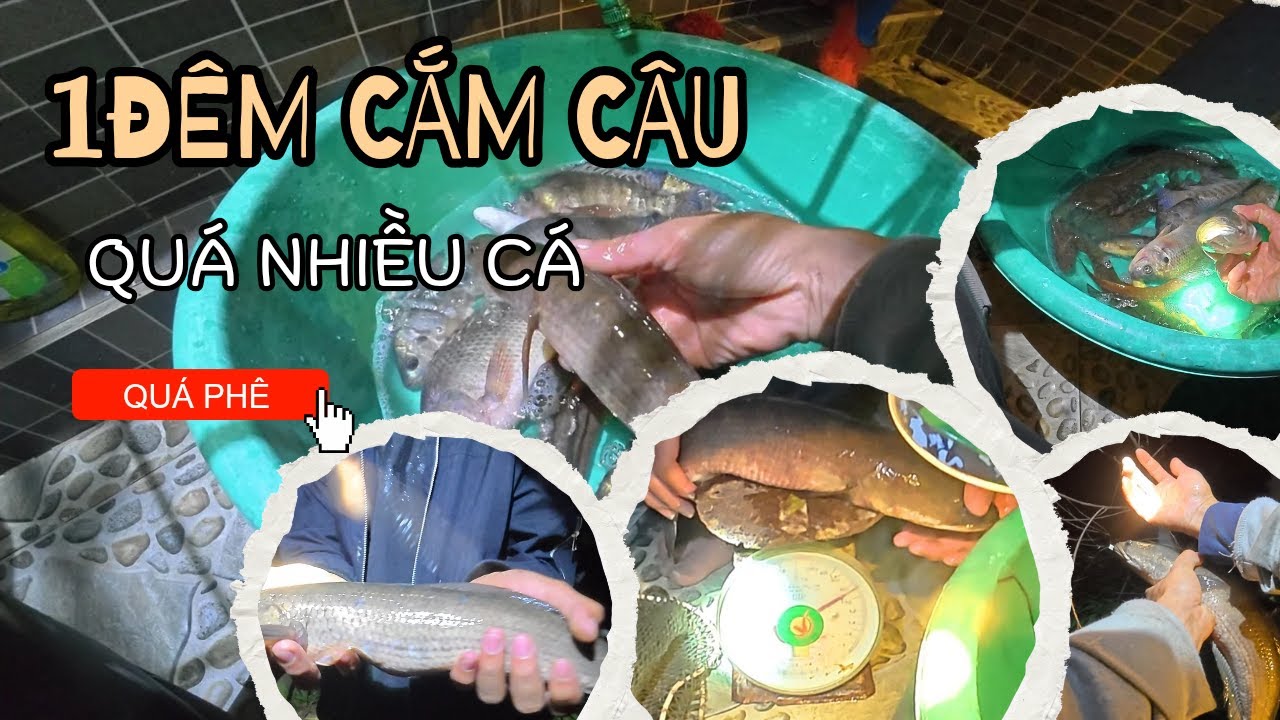 Cắm câu đêm - 1 đêm dính được rất nhiều cá của 2 cậu cháu - night fishing