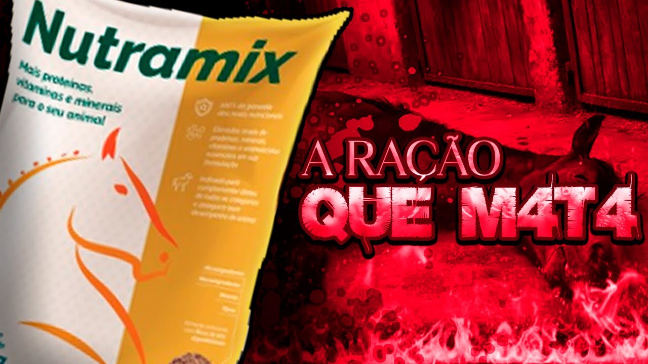 A RAÇÃO 4SS4SSINA QUE M4T4 ANIMAIS