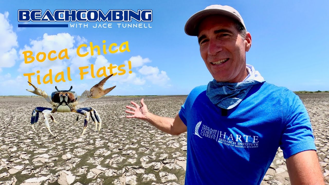 Beachcombing - Boca Chica Tidal Flats