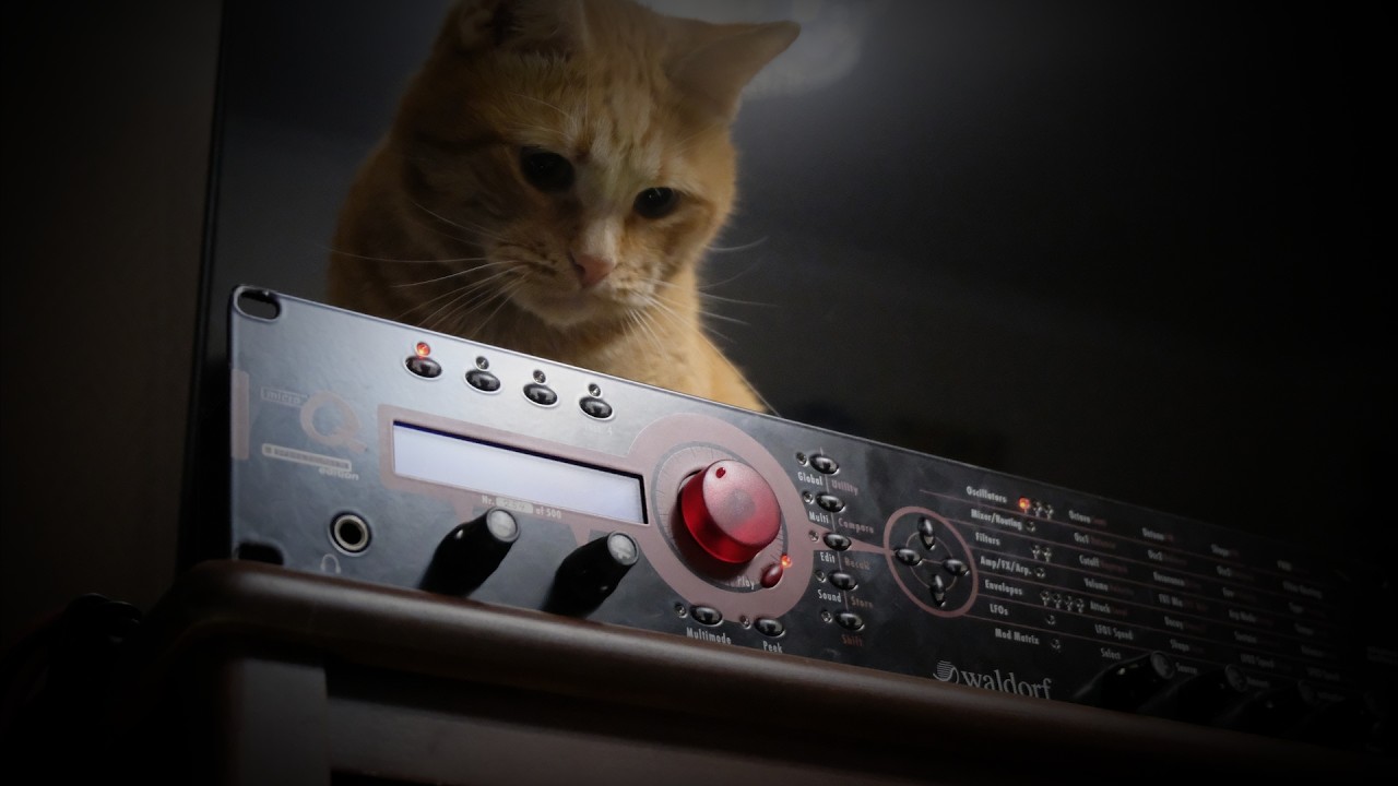 Real Waldorf Micro Q vs VAVRA VST Emulation Battle