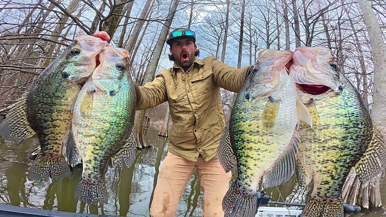 THESE SLABS ARE HUGE!!! --Did I Just Catch My NEW PB Crappie?!?! (Biggest in YEARS!)