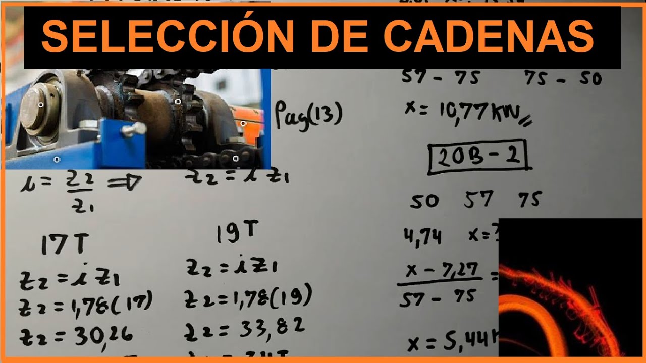 SELECCIÓN DE CADENAS, PROBLEMAS RESUELTOS por catálogo paso a paso y aplicación.