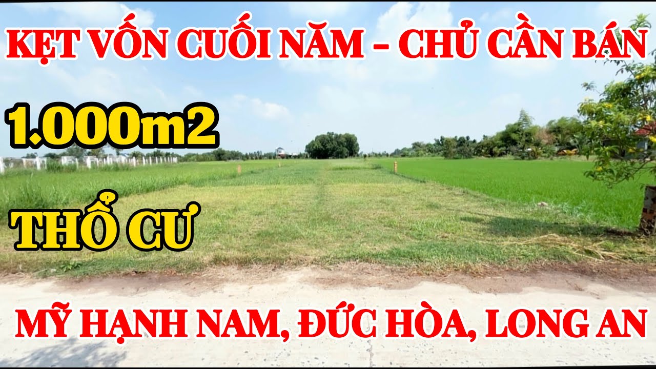 🔥Chủ kẹt vốn cuối năm. Bán 1000m2 đất thổ cư - Đức Hòa Long An.