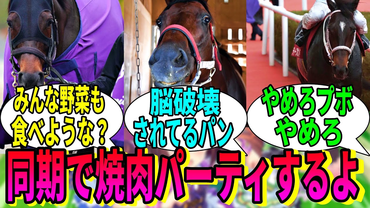 【競馬の反応集】「20世代の同期と楽しい焼肉会をやるよ！」に対する視聴者の反応集