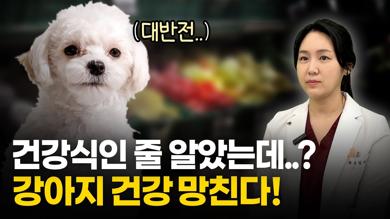[요로결석 A to Z] '이것' 먹였다간.. 강아지는 결석으로 고통받게 됩니다.