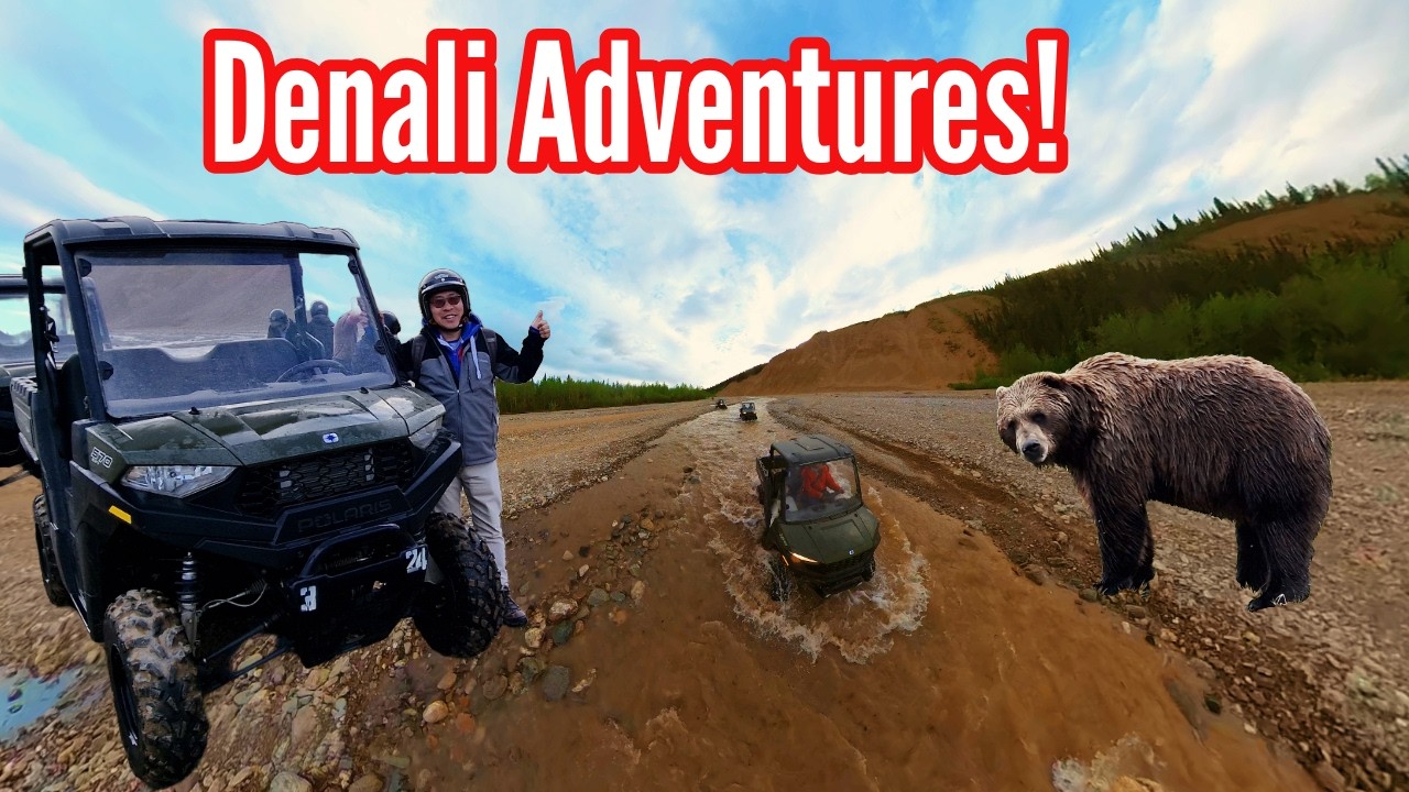 Denali's Top Excursions - From Budget Tours to Helicopter Thrills