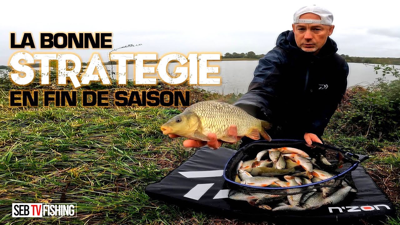 Comment prendre les gros poissons en fin de saison ? pêche à la canne en étang.