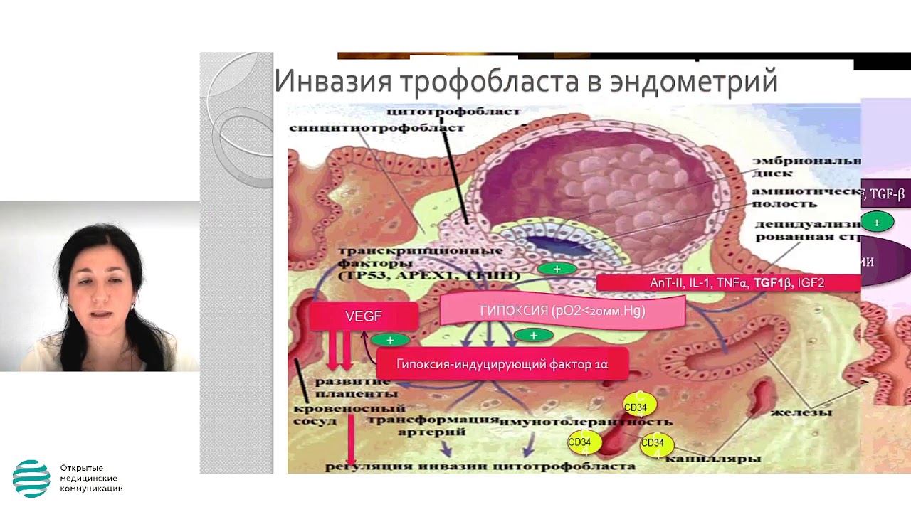 Диагностика и лечение 