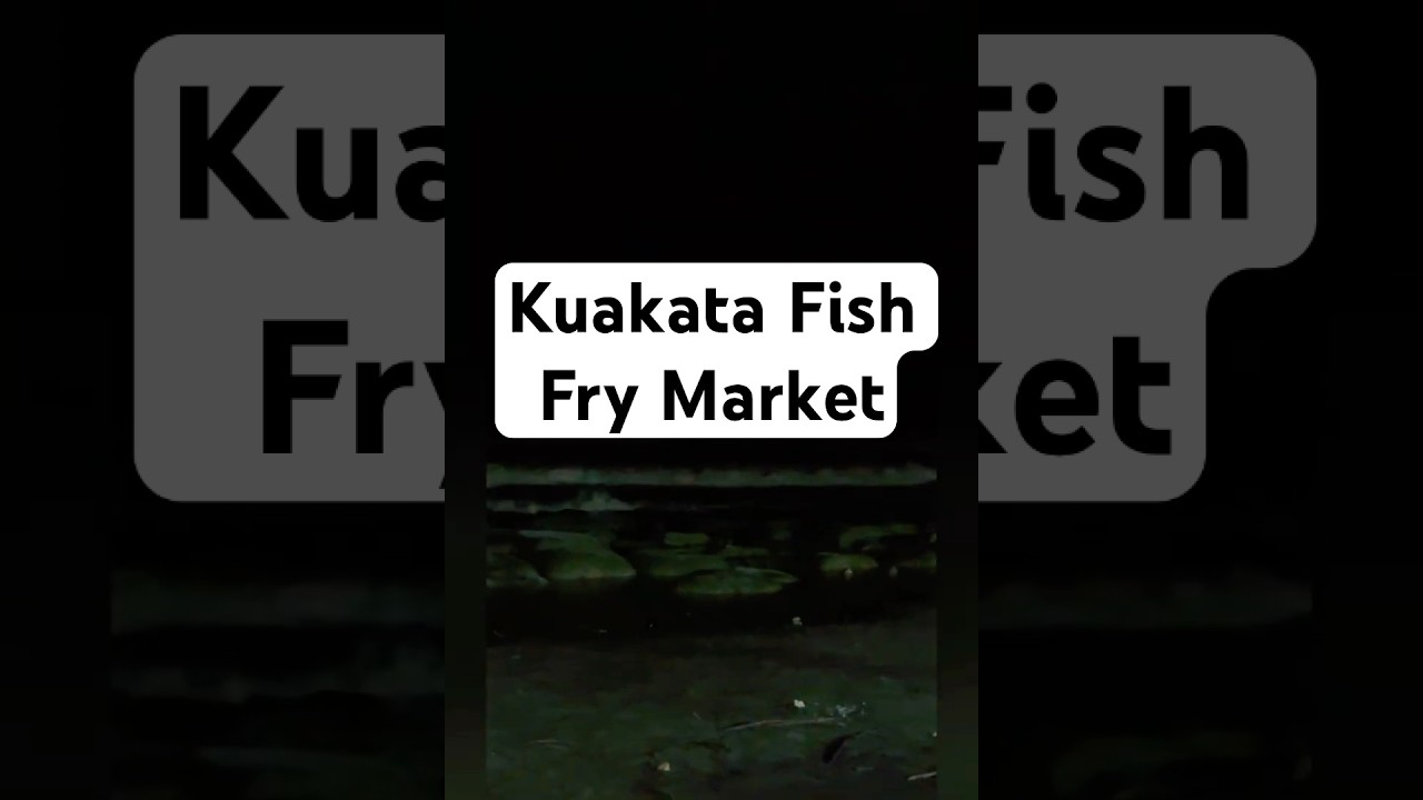 Kuakata Fish Fry Market 