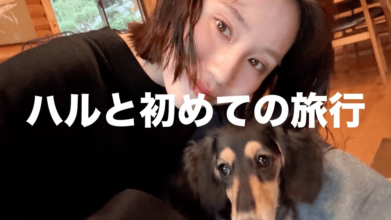 犬と旅行って大変‼️