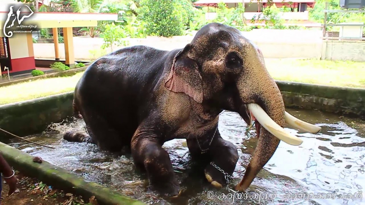 Thechikottukavu Ramachandran # രാമാവതാരം part 1