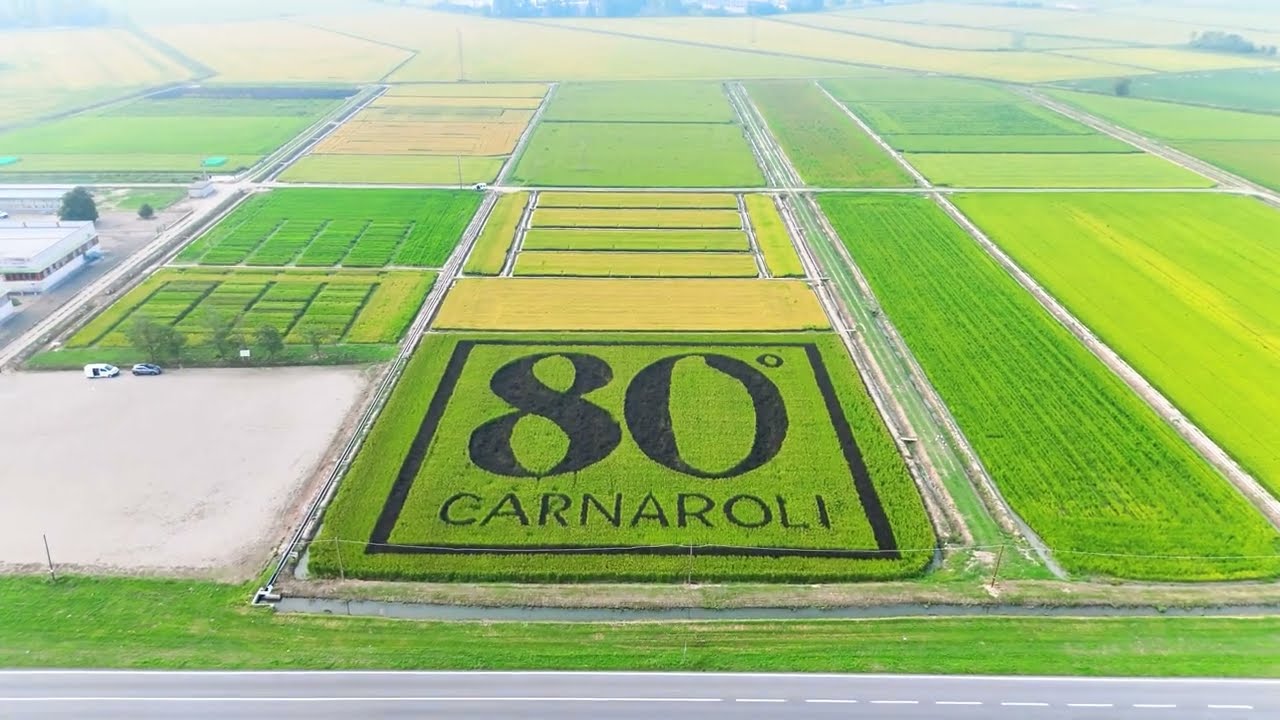 Un Risegno per celebrare gli 80 anni del riso Carnaroli